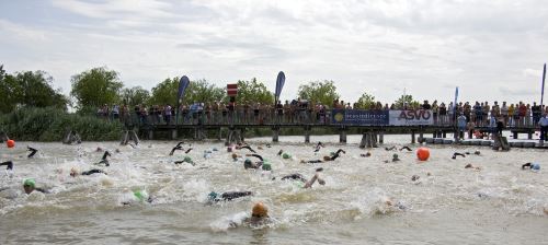 Gewinne deinen Startplatz für das Schwimmfestival am Neusiedlersee