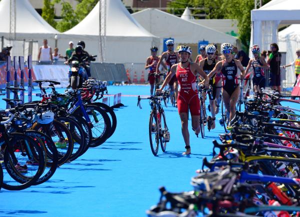 Olympiasieger steigen in World Triathlon Serie ein