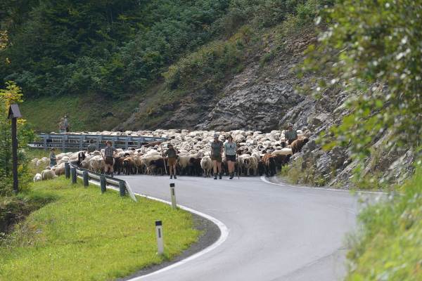 Neutralisierte Streckenführung bei Trans Vorarlberg Triathlon
