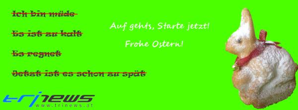 Leiti bloggt: Auf die Noggy Eier - vernichtet sie!