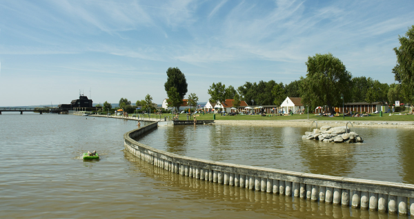 Schwimmfestival am Neusiedler See