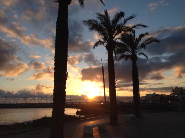Über 70 Österreicher bei IRONMAN Mallorca