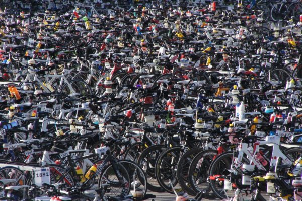Transvorarlberg lockt zahlreiche Athleten