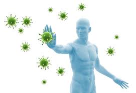 Immunsystem
