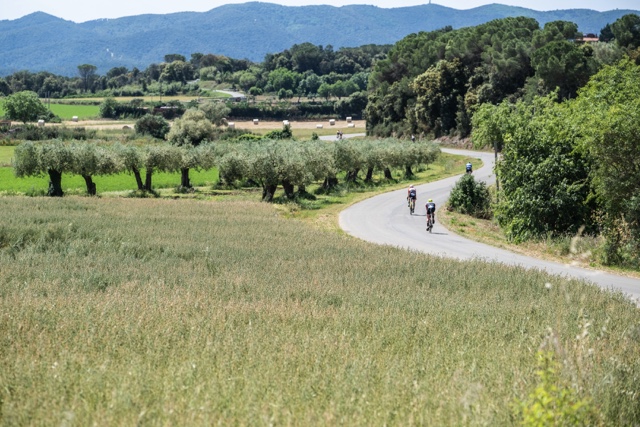 Österreichs Triathlon-Veranstalter setzen auf kostenlose COVID-19 Tests