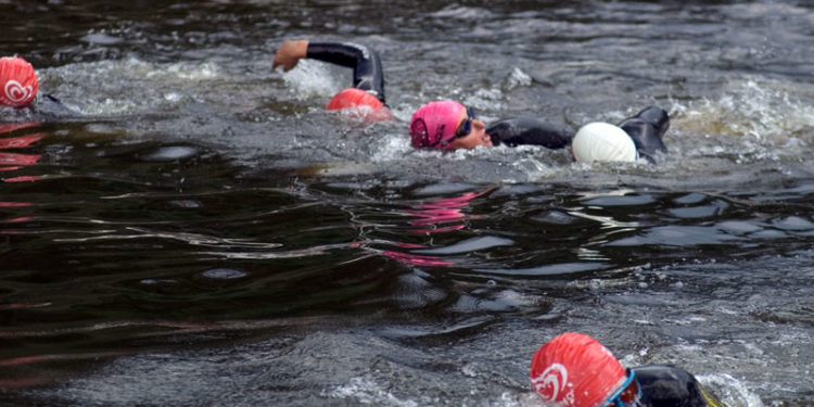 Triathlon Statistik 2013