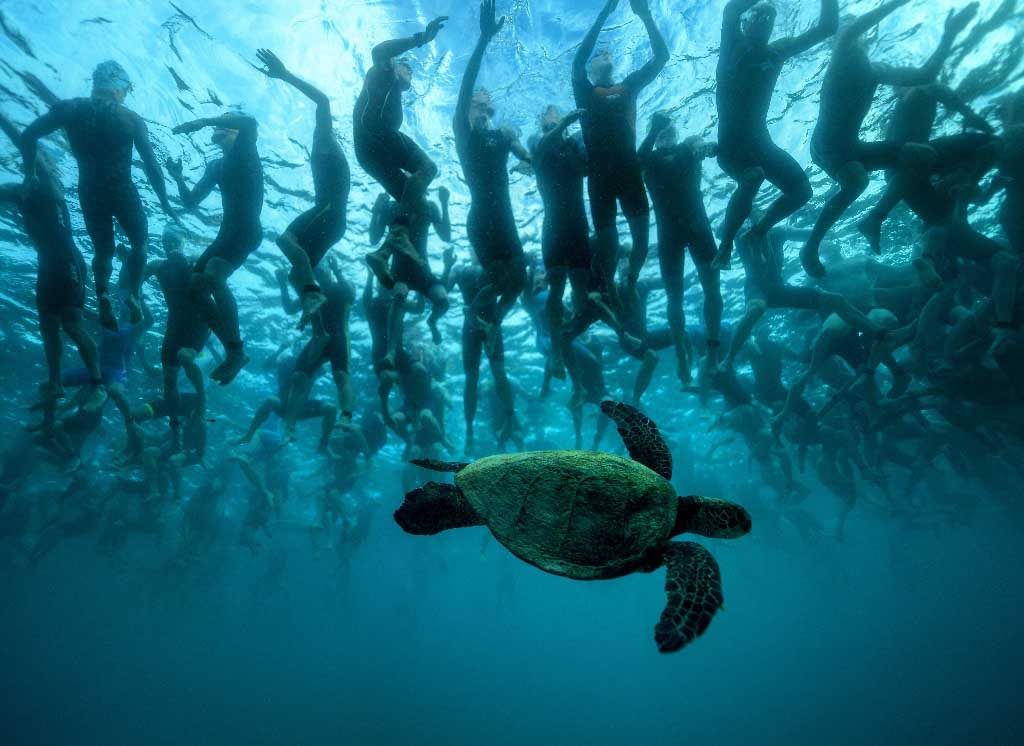 Best Of Bilder der IRONMAN World Championship 2016 3 Unfassbar!