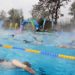 Volles Sportbecken beim 24h Schwimmen in Bad Radkersburg