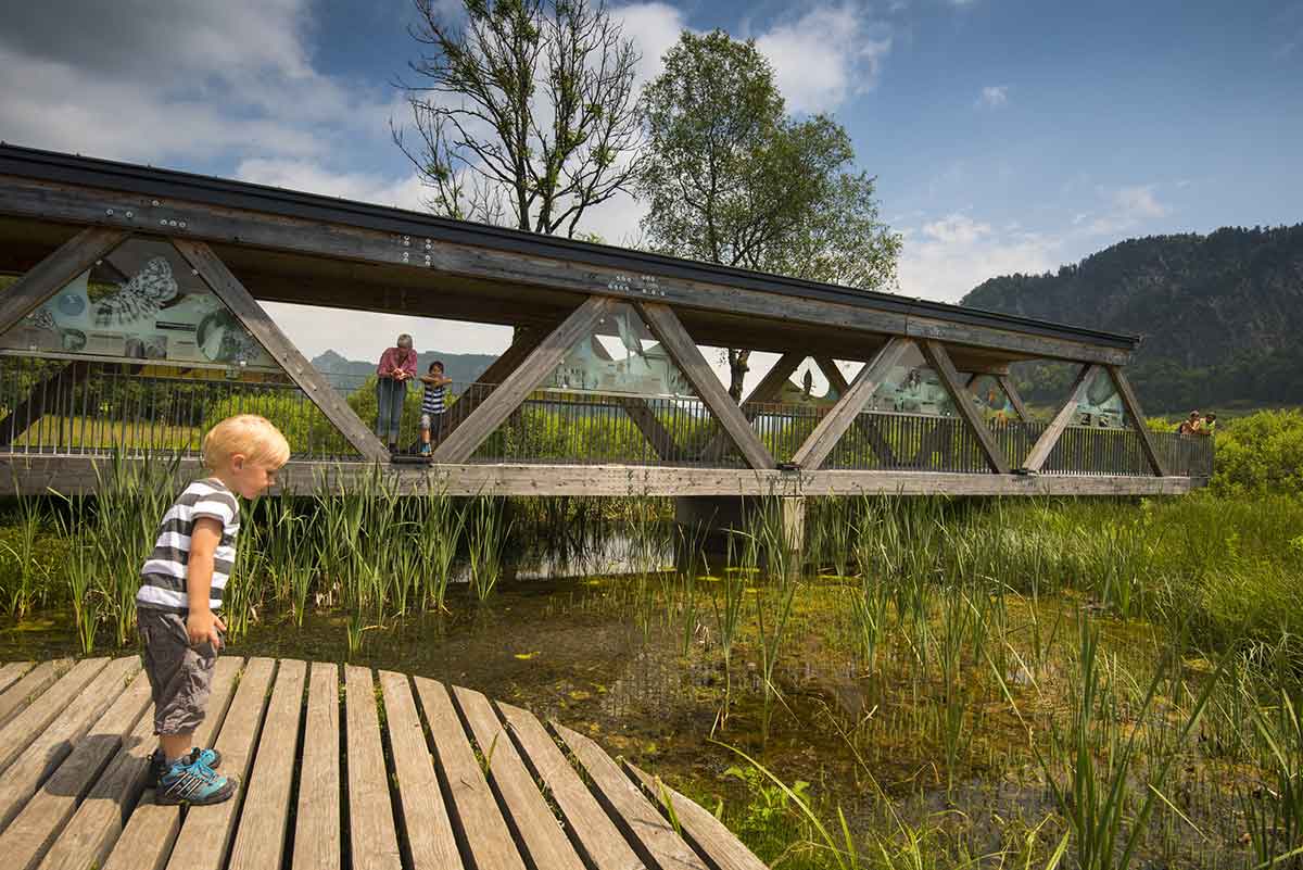 Das solltest du nach deinem Start bei der Challenge Walchsee machen! 4 Das solltest du nach deinem Start bei der Challenge Walchsee machen! 3